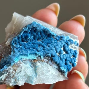 May include: A raw mineral specimen featuring a cluster of vibrant, deep blue, botryoidal formations set against a translucent, jagged white and grey crystalline base. The surface of the blue section has a textured, bumpy, and matte appearance.