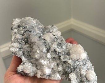 May include: A cluster of white and gray selenite crystals with a hexagonal pattern. The crystals are arranged in a rough, organic shape.