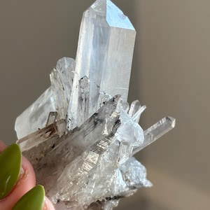 May include: A cluster of clear quartz crystals with sharp, pointed ends. The crystals are translucent with some internal inclusions. The overall shape is irregular, with multiple crystal points radiating outwards. The quartz is a pale, almost colourless hue.