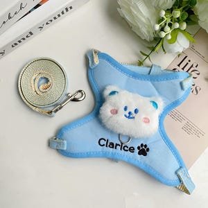 Personalized Cat Harness with Name, Embroidered Cat Harness and Leash Set, Custom Cat Harness, Cute Cat Harness Pet Harness Cat Gifts