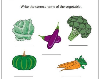 fruit worksheet etsy ireland