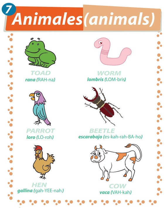 Learning Animal Names in Spanish