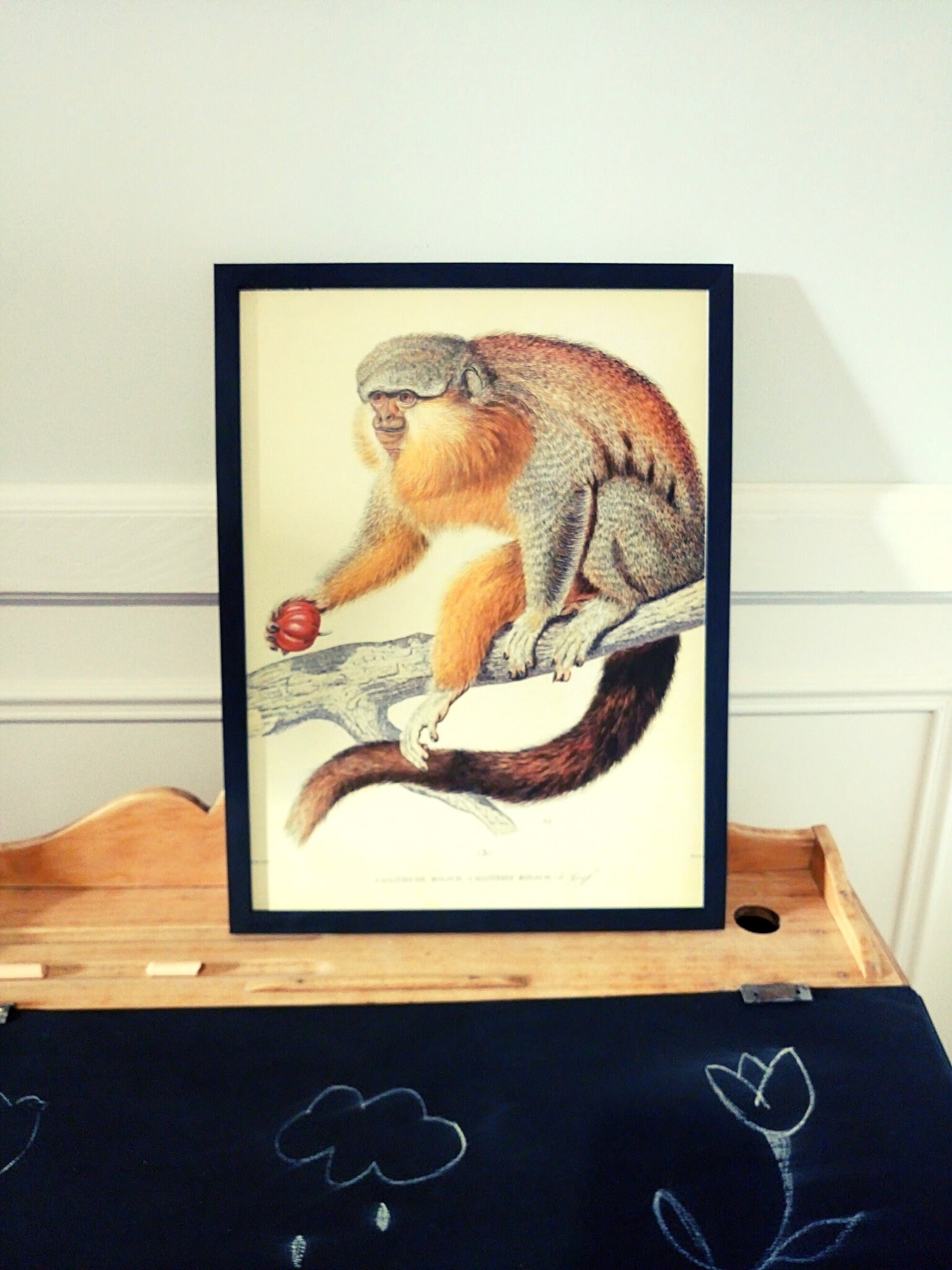 Affiche Vintage - Singe