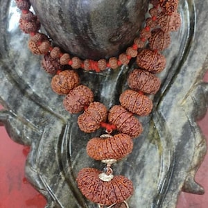 Certified Original INDRAKSHI Rudraksha mala combination 1to 21 Rudraksha Sidhha Mala
