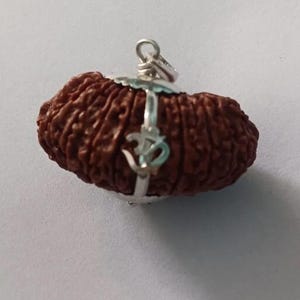 21 Mukhi Rudraksha Sacred Bead Rare- Certified A++ --IGL Lab Certified Special Om Energized Pendant