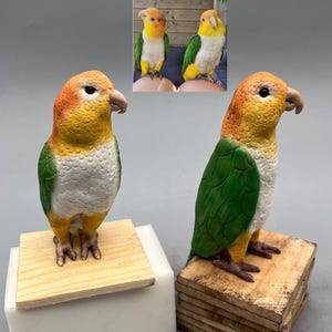 May include: Two hand-painted ceramic parrot figurines. The parrots are yellow, orange, white, and green. They are standing on wooden bases.