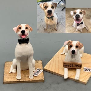 Personalized custom pet dog wedding cake gift box, pet birthday cake animal cake gift box miniature