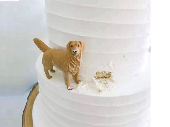 Dog cake kit hot sale