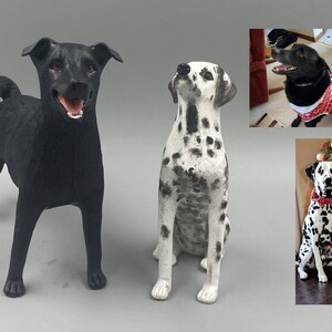 Personalized custom pet dog wedding cake gift box, pet birthday cake animal cake gift box miniature