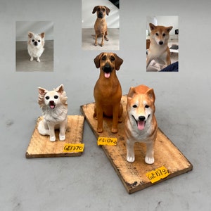 May include: A collection of five dog figurines, including a white chihuahua, a brown and black rottweiler, a brown and white shiba inu, a brown labrador retriever, and a brown and white terrier. The figurines are displayed on wooden bases with yellow labels.