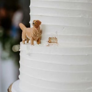 Personalized custom dog wedding cake topper , pet cake topperPets Birthdaycat cake topper , Anniversary petdog FigurinesDogs birthday image 1