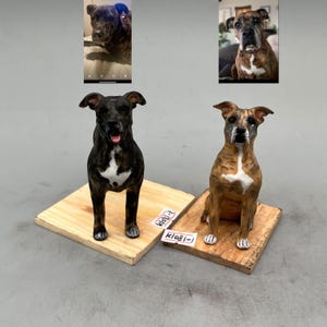 Personalized custom pet dog wedding cake gift box, pet birthday cake animal cake gift box miniature