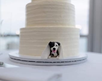 Topo de bolo personalizado para animais de estimação: cachorro, casamento, aniversário de animais de estimação, topo de bolo em miniatura para gato, aniversário de animais de estimação, topo de bolo para animais de estimação, aniversário de cachorros