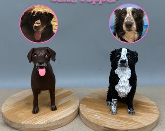 Custom Dog CakeTopper，wedding CakeTopper,Pet's Birthday,cat caketopper Miniature, Anniversary pet,pets topper，Dogs birthday