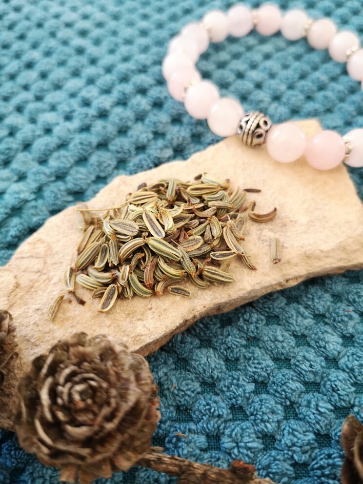 Fenouil, Graines à Semer