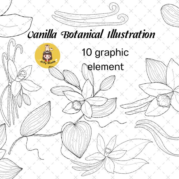 Digital Clip Art Set of vanilla flower botanical. Set of elements on an isolated background, hand drawing, botanical illustration.