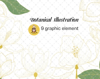 Digital Clip Art Set of flower botanical. Set of elements on an isolated background, hand drawing, botanical illustration.