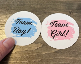Gender Reveal Baby Stickers / Team Boy / Team Girl / Pink and Blue Gender Reveal Sticker