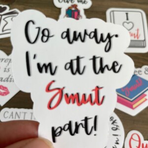 Book Tok Smut Stickers / Bundle of Stickers / Waterproof Sticker / Smut Book Tok / Book Lover / Book Nerd / Avid Reader afbeelding 5