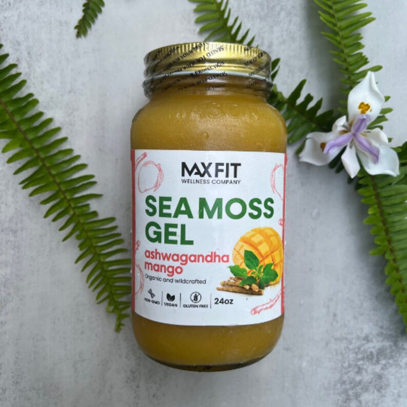 Pu&ograve; includere: Un barattolo di vetro di gel di alga marina giallo con un'etichetta bianca che recita "MaxFit Wellness Company Sea Moss Gel Ashwagandha Mango Organic and Wildcrafted 24oz Non-GMO Vegan Gluten-Free". Il barattolo &egrave; su una superficie grigia con foglie verdi e un fiore bianco.