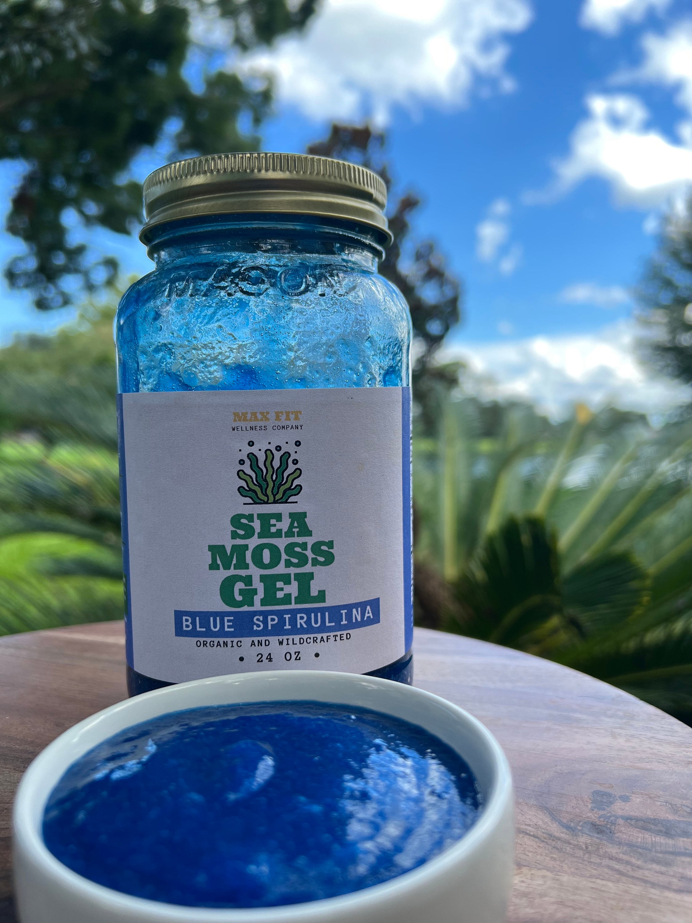 Blue Spirulina Sea Moss Gel 24oz Natural Organic Wildcrafted Etsy