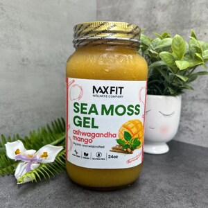 Pu&ograve; includere: Una bottiglia di vetro trasparente con un tappo dorato che contiene un liquido giallo. L'etichetta recita "MX Fit Wellness Company Sea Moss Gel Ashwagandha Mango Organic and Wildcrafted 24oz".