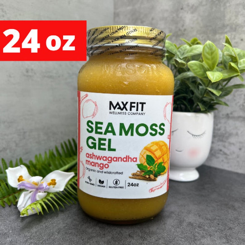 Pu&ograve; includere: Una bottiglia di gel di alga marina MaxFit Wellness Company da 24 once con ashwagandha e mango. La bottiglia &egrave; gialla e ha un'etichetta con un'immagine di mango e il testo "Sea Moss Gel" e "Ashwagandha Mango".