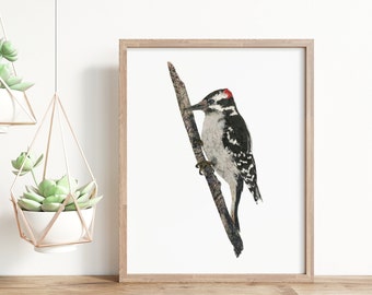 Woodpecker Print Bird Art Made from Newspaper