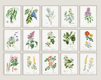 Vintage Flowers Poster Bundle, Botanical Wall Art Collage Kit, Retro Aesthetic Print Set of 15, Plant Gallery Wall, Digital Download