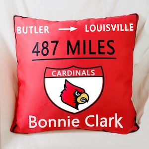 Custom College Throw Pillows, Personalized College Gift, College Dorm Decor, Back to school Gift, College Merch