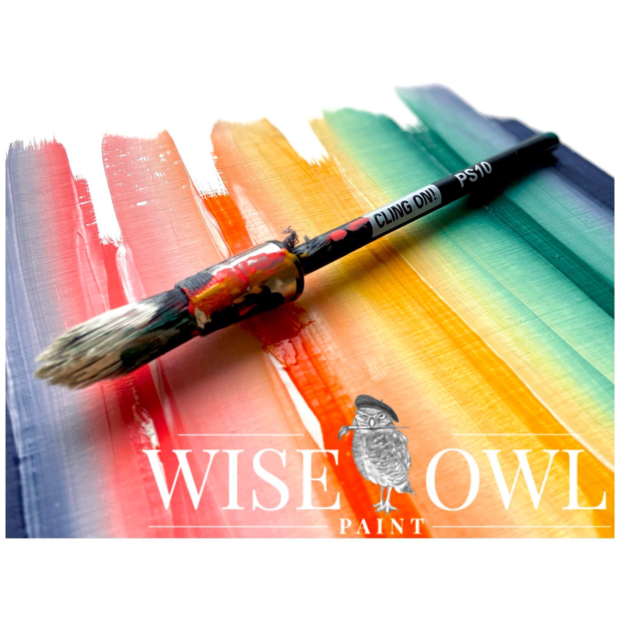 Black Sea Furniture Salve Sealer Wise Owl Paint Etsy