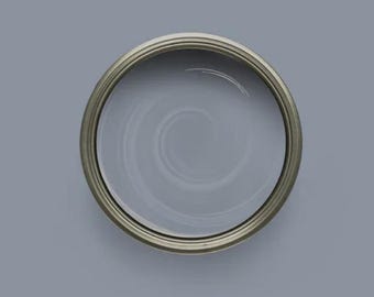 Gray Stain Eliminating Primer - Wise Owl Paint