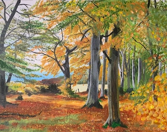 557. Autumn Woodland Giclée Print: Calrossie Woods, Scotland (10x7)