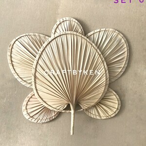 Palm Fan Pattern Raffia Palm Leaf Hand Fan Set | Boho Woven Wall Decor (set of 6) - Etsy