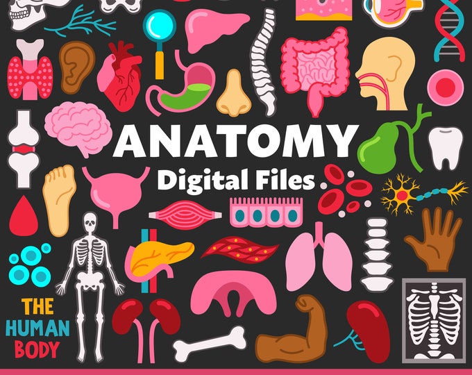 Human Organs Svg File Anatomical Human Organs Floral Heart Svg Human ...