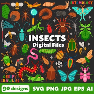 Insekt Digitale Dateien, SVG PNG JPG, Clipart, Schnittdateien, Cricut, Druckbar, Symbole, Biologie, Wissenschaft, Käfer, Bienen, Spinnen, Schmetterlinge, Käfer