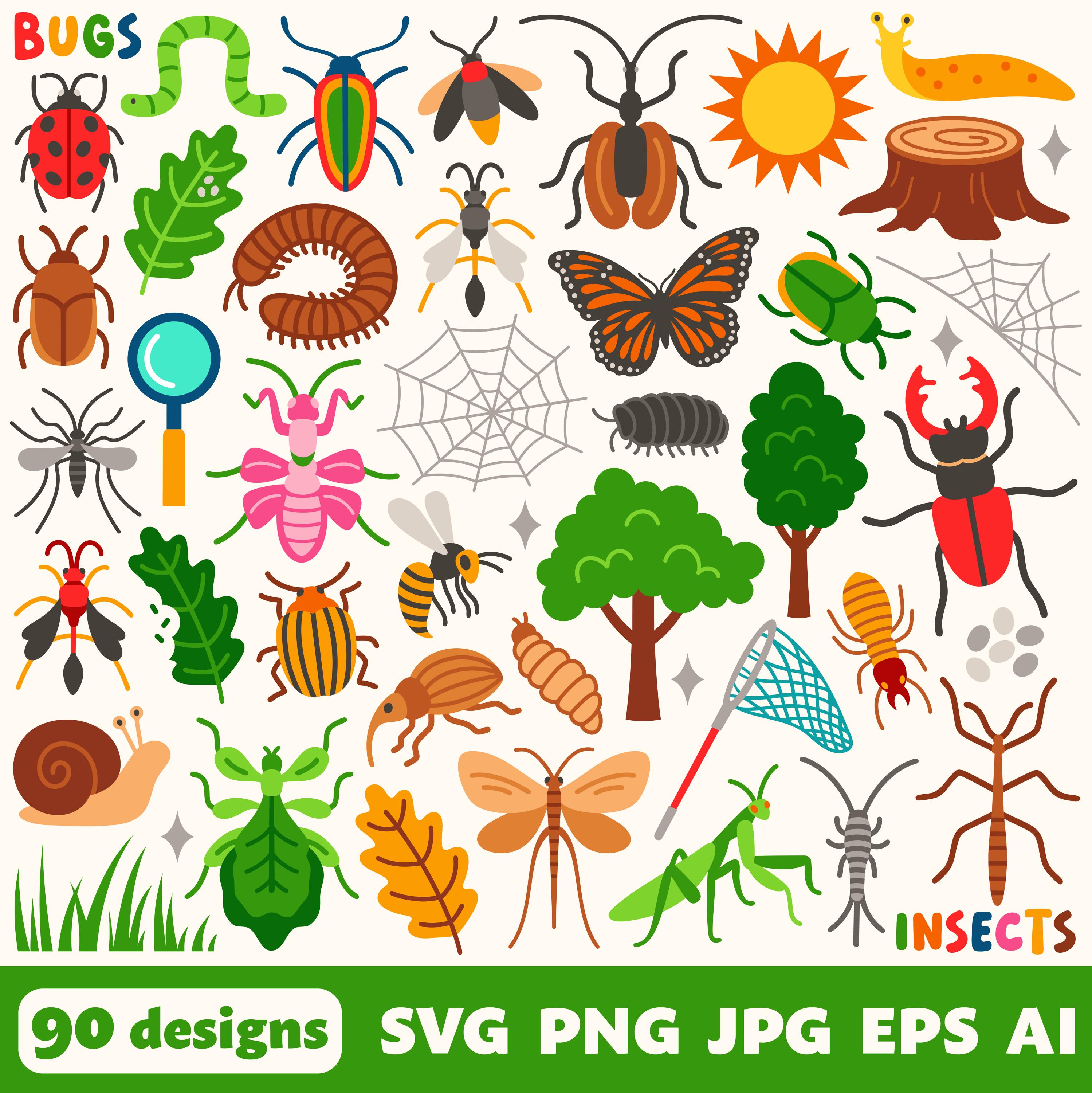 Insect File Insect Digital Files, SVG PNG JPG, Clipart, Cut Files, Cricut ...