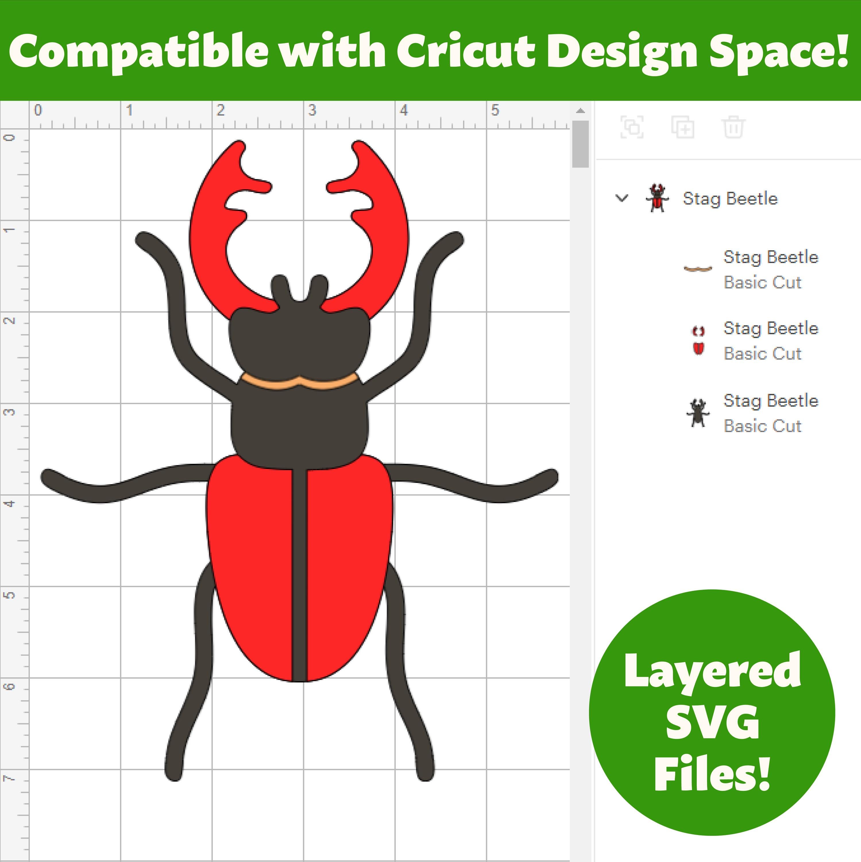 Insect Digital Files, SVG PNG JPG, Clipart, Cut Files, Cricut ...
