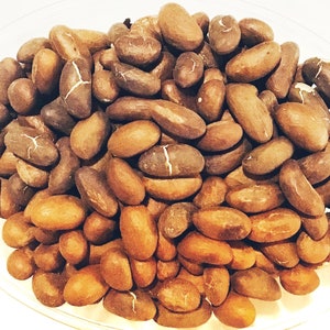 Bitter Kola Nut Garcinia Kola Nut