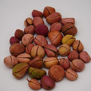 May include: A collection of kola nuts, featuring a variety of colors including shades of pink, brown, and green. The nuts have a segmented appearance with visible lines and a smooth texture. The background is plain white.