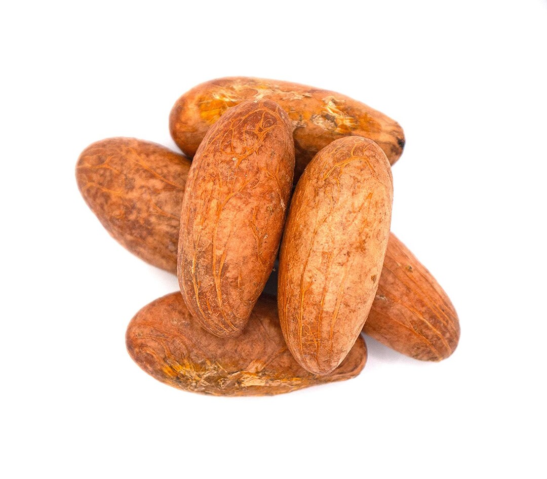 1lb Bitter Kola Nut Garcinia Kola Nut Etsy