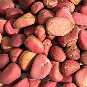 1Lb Cola Acuminata Kola Nuts - 2 Lobes