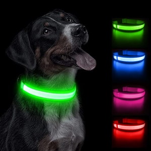 SNOUTZZ® LED Flashing Dog Collar USB Rechargeable - Ultra Bright, Waterproof & Increased Safety - Available 4 Colours / 4 Sizes