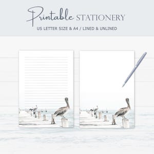 Pelican Stationery, Seabird Letter Writing Paper, Beach Notepad, Lined Unlined, A4 US Letter, Digital Download, Printable Notes Paper