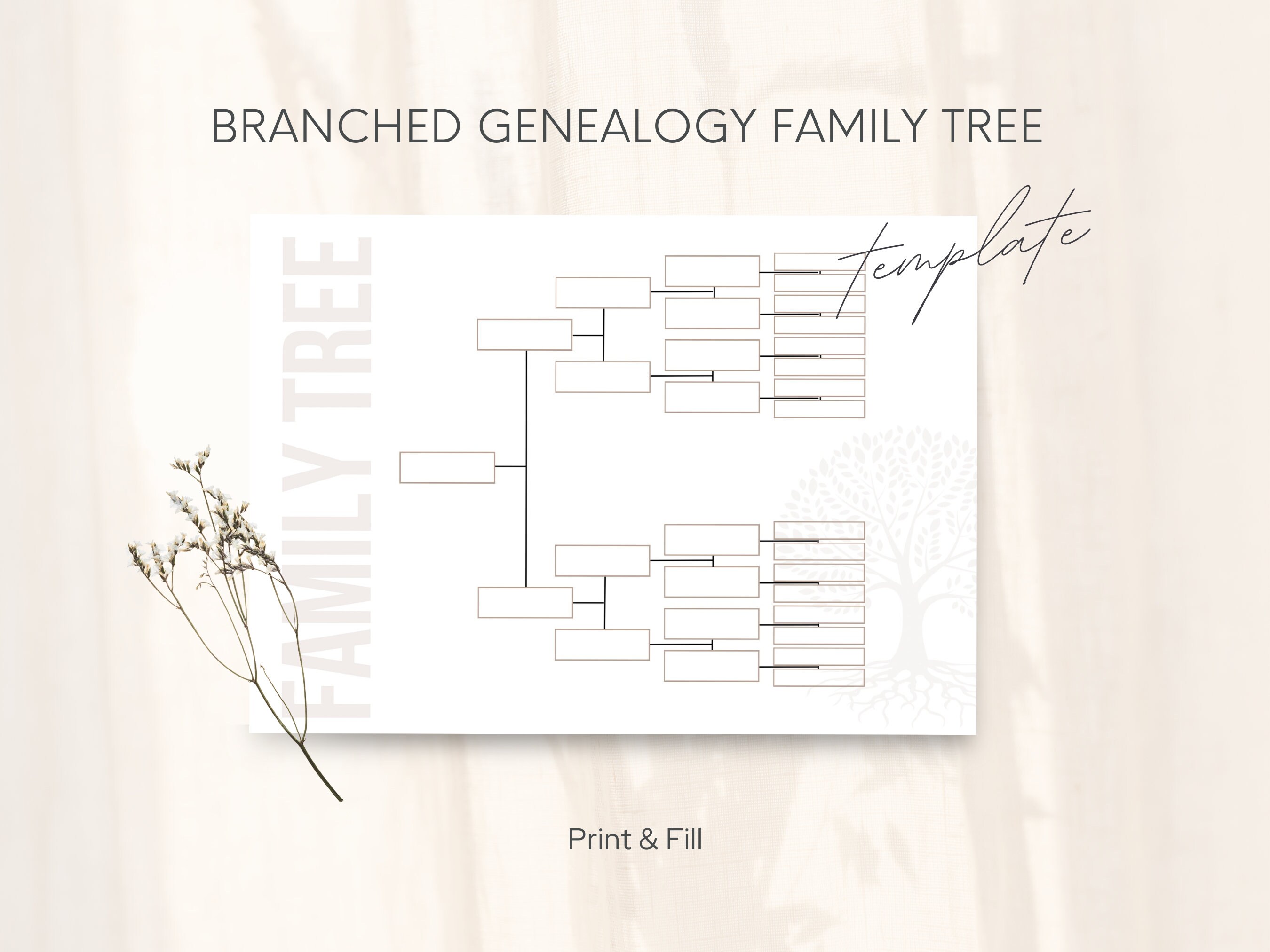 Family Tree Template for 6 Generations Branched Genealogy Family Tree ...
