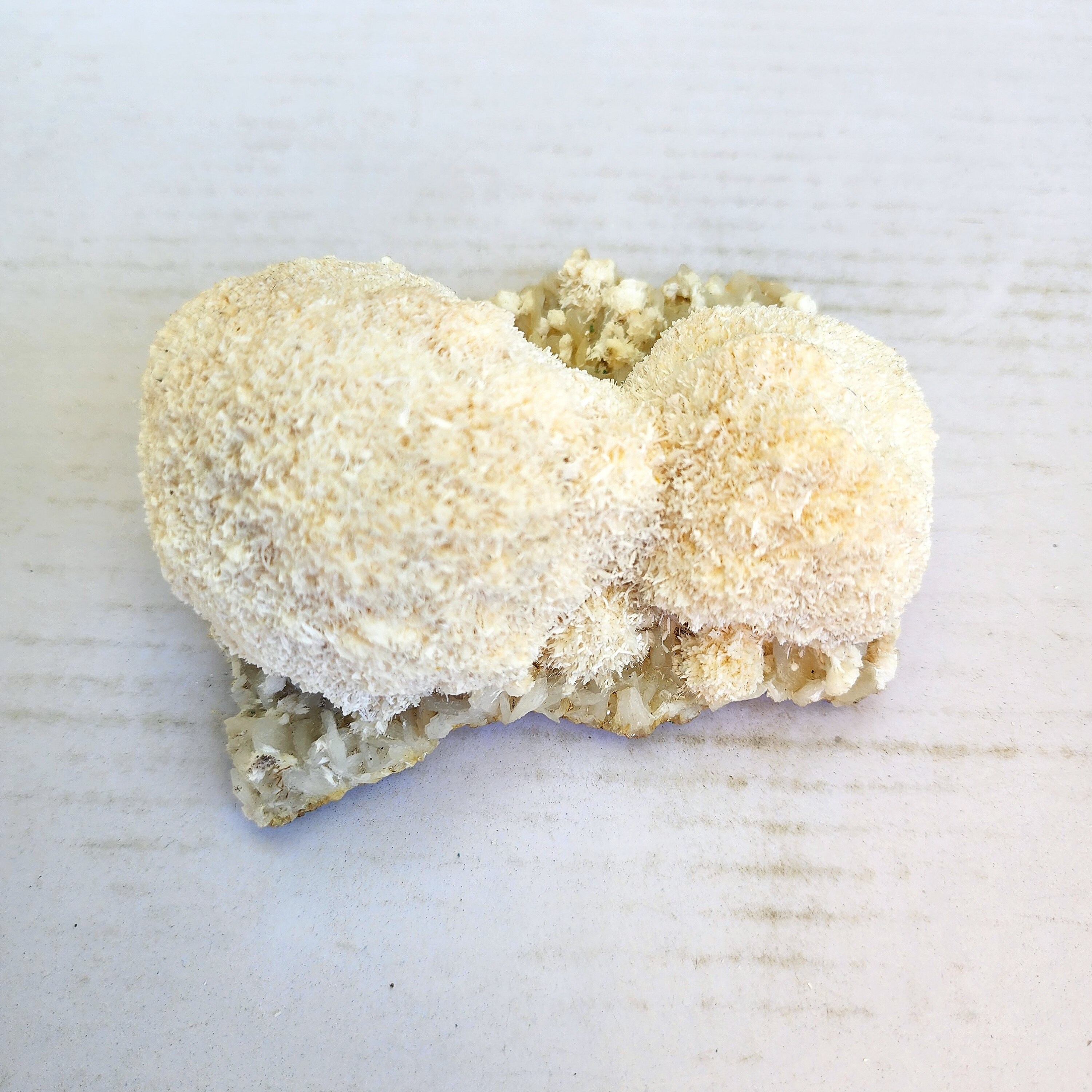 Mordenite Zeolite Specimen Mineral Etsy