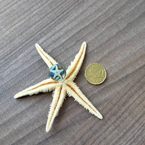 Bague réglable couleur argent avec inclusion d'une étoile de mer, de pierres semi précieuses image 3
