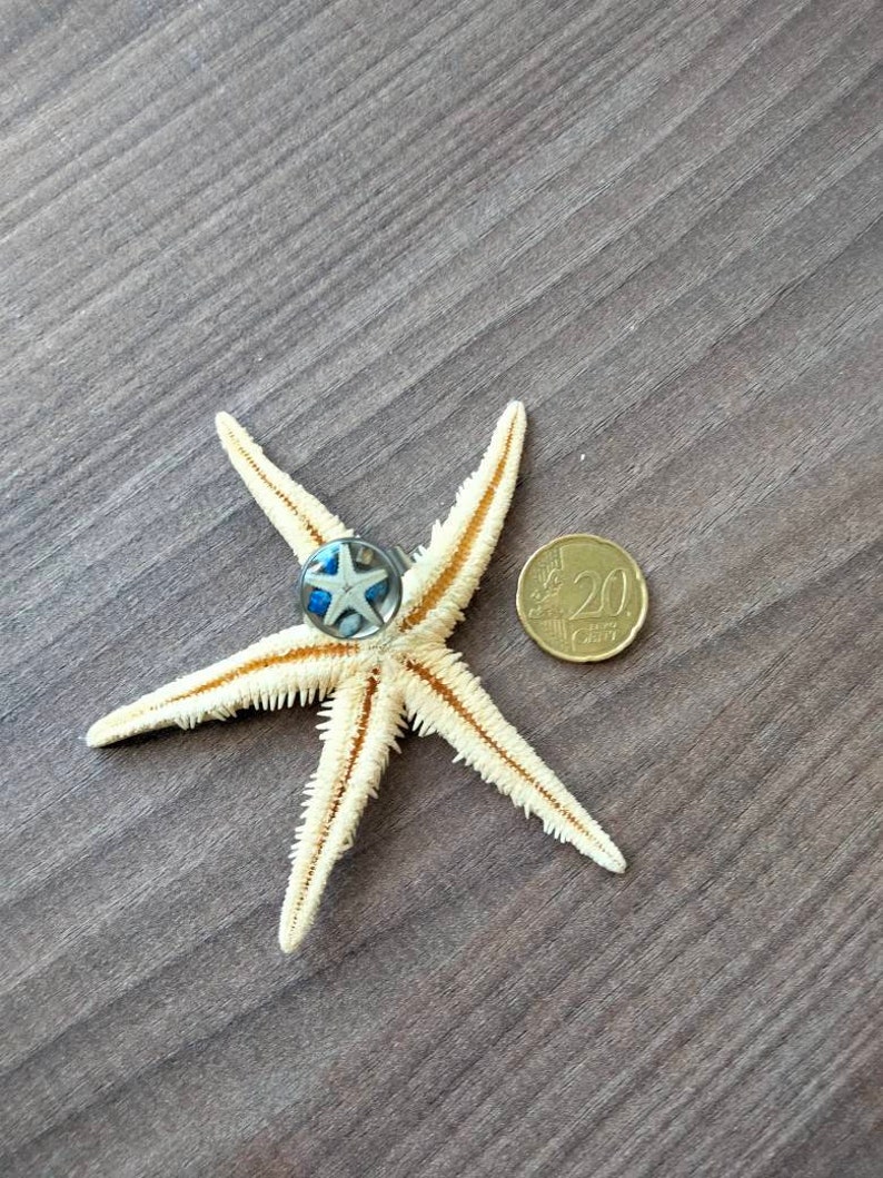 Bague réglable couleur argent avec inclusion d'une étoile de mer, de pierres semi précieuses image 3