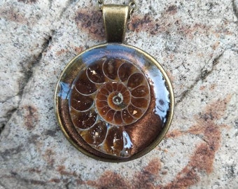 Pendant with insertion of an ammonite fossil by epoxy resin, mounted on bronze stainless steel chain