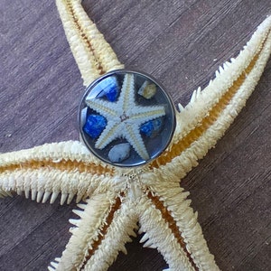 Bague réglable couleur argent avec inclusion d'une étoile de mer, de pierres semi précieuses image 1